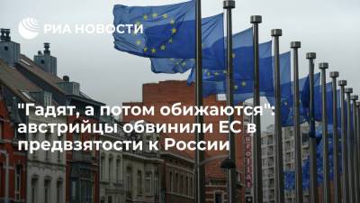 Вера Юрова - "Гадят, а потом обижаются": австрийцы обвинили ЕС в предвзятости к России - ria.ru - Москва - Австрия - Россия - США - Вашингтон - Англия - Ирак - Палестина - Брюссель