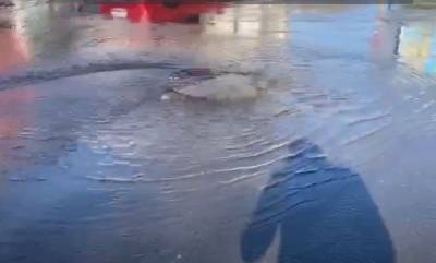 Под Одессой вода залила улицу, пострадали многоэтажки и школы: видео ЧП - odessa.politeka.net - Одесса - Черноморск