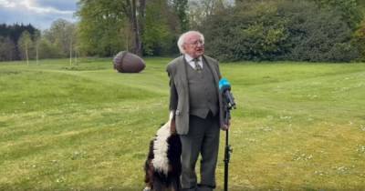 Совала нос в пиджак и требовала внимания: собака президента Ирландии едва не сорвала ему важное выступление (видео) - tsn.ua - Ирландия