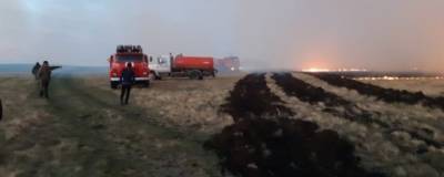 В Башкирии ликвидировали лесной пожар на площади 10 гектаров - runews24.ru - Башкирия - район Баймакский