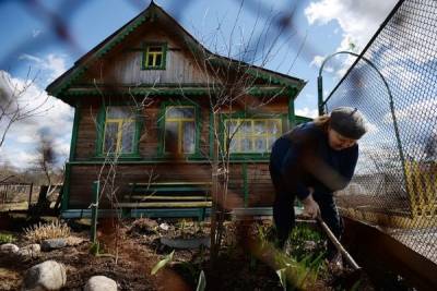 Российских дачников будут штрафовать за разведение скота на продажу - newsland.com - Московская обл.