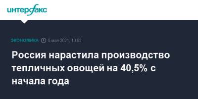 Россия нарастила производство тепличных овощей на 40,5% с начала года - interfax.ru - Москва - Башкирия - Краснодарский край - Московская обл. - респ. Татарстан - Калужская обл. - Новосибирская обл. - Волгоградская обл. - респ. Карачаево-Черкесия - Ставрополье - Липецкая обл. - Московская область