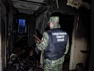 Два мальчика заживо сгорели в Ленобласти. Один из них не дожил день до 16-летия - bloknot.ru - Ленинградская обл. - район Тосненский