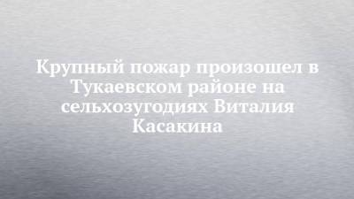 Крупный пожар произошел в Тукаевском районе на сельхозугодиях Виталия Касакина - chelny-izvest.ru - респ. Татарстан - район Тукаевский