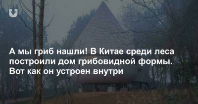 А мы гриб нашли! В Китае среди леса построили дом грибовидной формы. Вот как он устроен внутри - news.tut.by