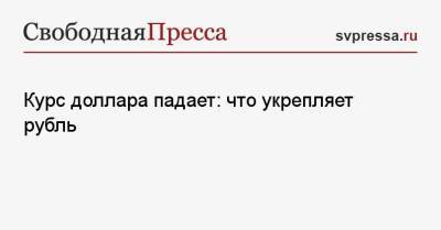 Курс доллара падает: что укрепляет рубль - svpressa.ru