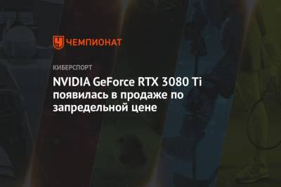 NVIDIA GeForce RTX 3080 Ti появилась в продаже по запредельной цене - championat.com - Эмираты