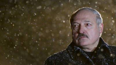 Александр Лукашенко - Немецкие адвокаты попросили возбудить дело против Лукашенко - gazeta.ru