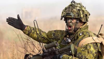 Военный аналитик рассказал о превращении Литвы в "тылового снабженца" НАТО - nation-news.ru - Румыния - Литва - Болгария