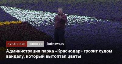 Администрация парка «Краснодар» грозит судом вандалу, который вытоптал цветы - kubnews.ru - Краснодарский край - Краснодар
