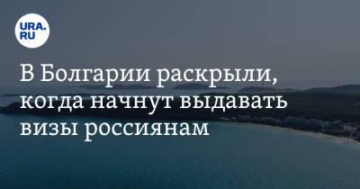 В Болгарии раскрыли, когда начнут выдавать визы россиянам - ura.news - Москва - Болгария