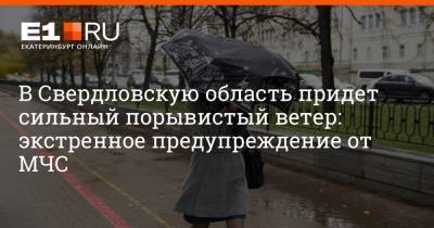 Артем Устюжанин - В Свердловскую область придет сильный порывистый ветер: экстренное предупреждение от МЧС - e1.ru - Екатеринбург - Свердловская обл.
