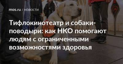 Тифлокинотеатр и собаки-поводыри: как НКО помогают людям с ограниченными возможностями здоровья - mos.ru - Москва