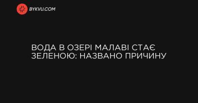 Вода в озері Малаві стає зеленою: названо причину - bykvu.com - Украина