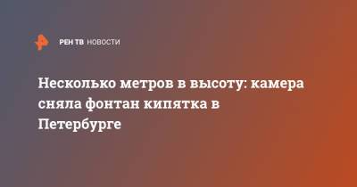 Несколько метров в высоту: камера сняла фонтан кипятка в Петербурге - ren.tv - Санкт-Петербург