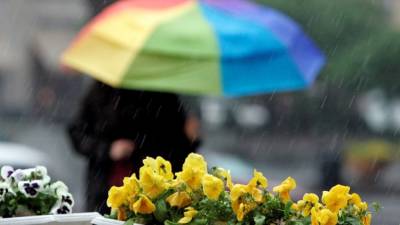 Наталья Диденко - Прогноз погоды на 6 мая: в Украину снова идут дожди - 24tv.ua - Ужгород