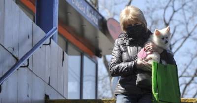 Денис Шмыгаль - "Красную" зону карантина в Украине могут сократить вдвое - tsn.ua - Сумская обл. - Харьковская обл. - Хмельницкая обл. - Черновицкая обл. - Житомирская обл. - Полтавская обл.