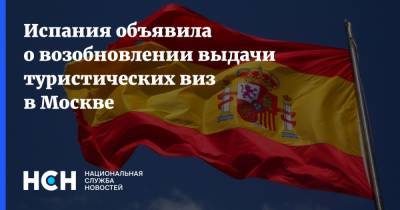 Юрий Гагарин - Испания объявила о возобновлении выдачи туристических виз в Москве - nsn.fm - Москва - Испания - Мадрид - Посольство