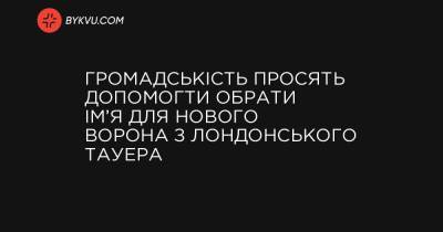 Громадськість просять допомогти обрати ім’я для нового ворона з Лондонського Тауера - bykvu.com