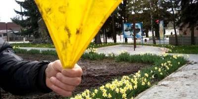 Полиция задержала в Винницкой области мужчину, вытершего грязные руки об украинский флаг - nv.ua - Винницкая обл.