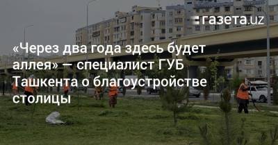 «Через два года здесь будет аллея» — специалист ГУБ Ташкента о благоустройстве города - gazeta.uz - Узбекистан - Ташкент