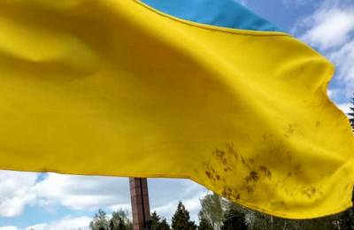Полиция открыла уголовное производство в отношении жителя Винницкой области, который вытер грязные руки флагом Украины (фото) - sharij.net - Винницкая обл.