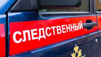 Вадим Наумов - Полиция выясняет обстоятельства смерти уральской блогерши, найденной в лесу - nation-news.ru - Екатеринбург
