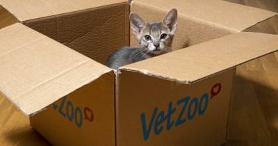 Ученые рассказали, почему кошки так сильно любят сидеть в коробках - focus.ua