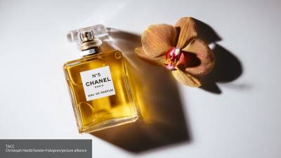 Chanel - Вдохновленные Россией: как природа Заполярья стала частью парфюма Chanel №5 - nation-news.ru