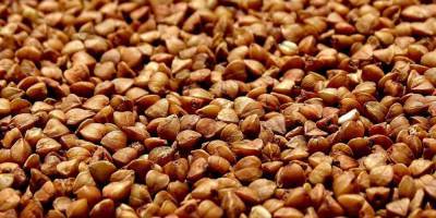 Стратегический продукт. Россия запретила экспорт гречки в Украину - biz.nv.ua