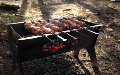 Шашлыки на майские: как грамотно замариновать и пожарить мясо - from-ua.com
