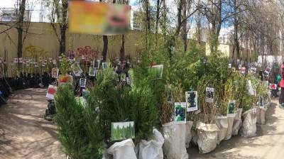 Воронежцев предостерегли от покупки заражённых саженцев - vestivrn.ru