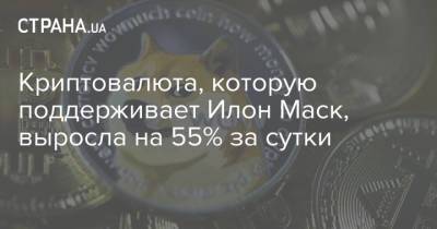 Илон Маск - Марк Кьюбан - Криптовалюта, которую поддерживает Илон Маск, выросла на 55% за сутки - strana.ua