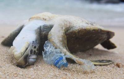 Ученые «взвесили» пластик в мировом океане и ужаснулись полученному результату - pravda-tv.ru