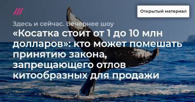 «Косатка стоит от 1 до 10 млн долларов»: кто может помешать принятию закона, запрещающего отлов китообразных для продажи - tvrain.ru