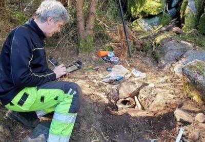В Швеции нашли уникальный клад возрастом 2500 лет (фото) - facenews.ua - Украина - Швеция
