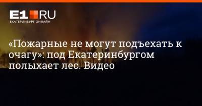 «Пожарные не могут подъехать к очагу»: под Екатеринбургом полыхает лес. Видео - e1.ru - Екатеринбург