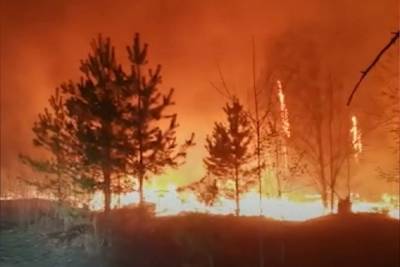 Около Нижне-Сысертского водохранилища разгорелся лесной пожар - eburg.mk.ru - Екатеринбург - Свердловская обл.
