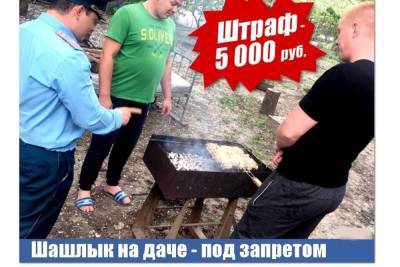 Не смотря на ливни и дожди, в Ярославской области продолжают штрафовать за шашлыки - yar.mk.ru - Ярославская обл.