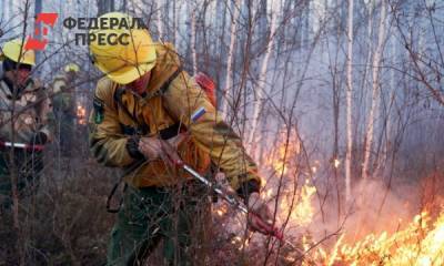 Площадь лесных пожаров на Среднем Урале за сутки выросла вдвое - fedpress.ru - Свердловская обл.