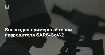 Воссоздан примерный геном прародителя SARS-CoV-2 - news.tut.by - Филадельфия
