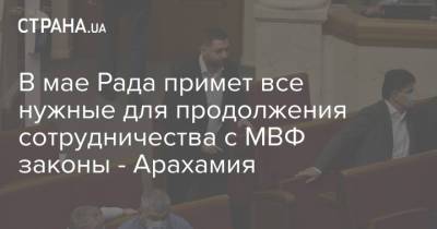 В мае Рада примет все нужные для продолжения сотрудничества с МВФ законы - Арахамия - strana.ua