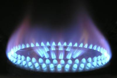 Михаил Мишустин - Правительство РФ утвердило план повышения газификации регионов - mk.ru