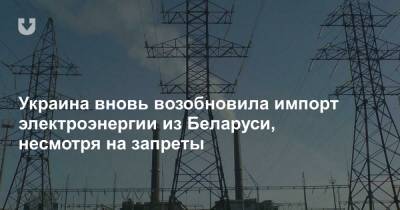 Украина вновь возобновила импорт электроэнергии из Беларуси, несмотря на запреты - news.tut.by
