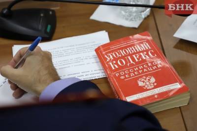 В Сыктывкаре возбудили уголовное дело в отношении «преследователя девушек» - bnkomi.ru - респ. Коми - Сыктывкар