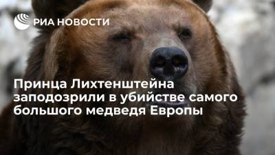 Принца Лихтенштейна заподозрили в убийстве самого большого медведя Европы - ria.ru - Москва - Румыния - Лихтенштейн
