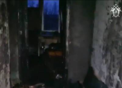 Пятеро подростков сожгли квартиру друга в Ленобласти - и двое при этом погибли - province.ru - Ленинградская обл.