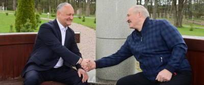 Александр Лукашенко - Игорь Додон - Лукашенко хочет навести порядок в Молдове, а в Белоруссии будет... - politnavigator.net - Молдавия - Белоруссия - Минск