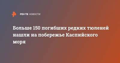 Больше 150 погибших редких тюленей нашли на побережье Каспийского моря - ren.tv