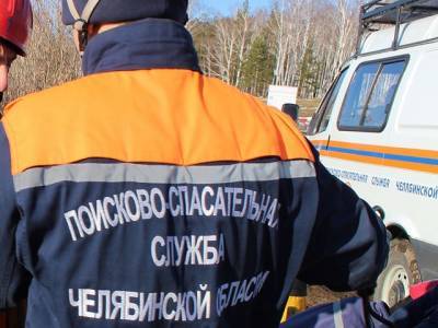 Решили сократить путь: четверо южноуральцев заблудились в лесу - u24.ru - Ленинск